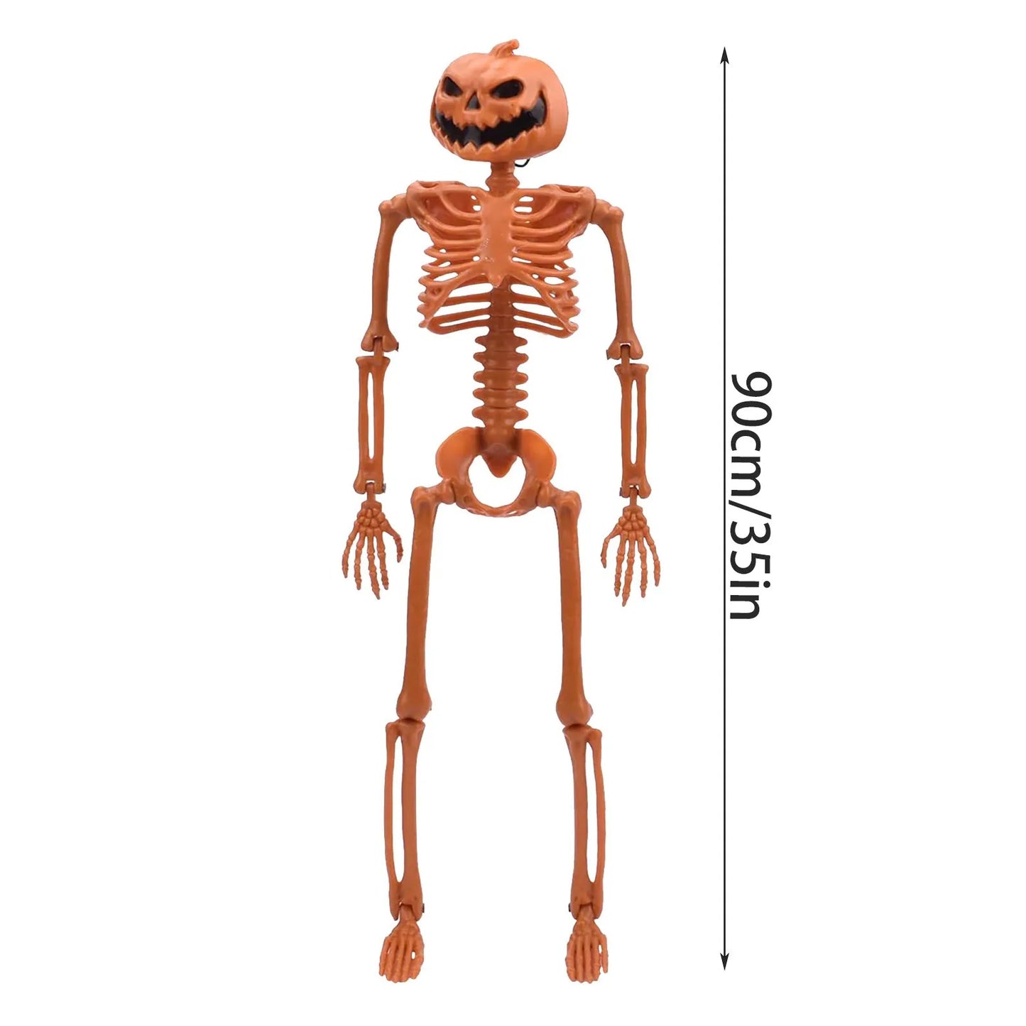 Halloween Poseable Human Skeleton
