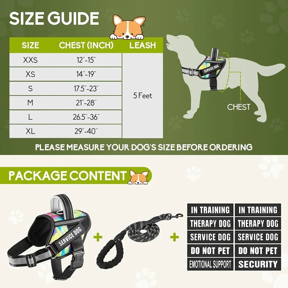 Training Dog Harness & Leash, Reflective - Small to XL Dogs