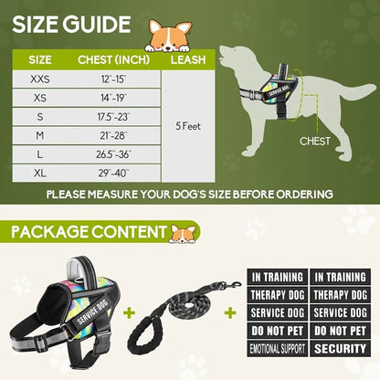 Training Dog Harness & Leash, Reflective - Small to XL Dogs