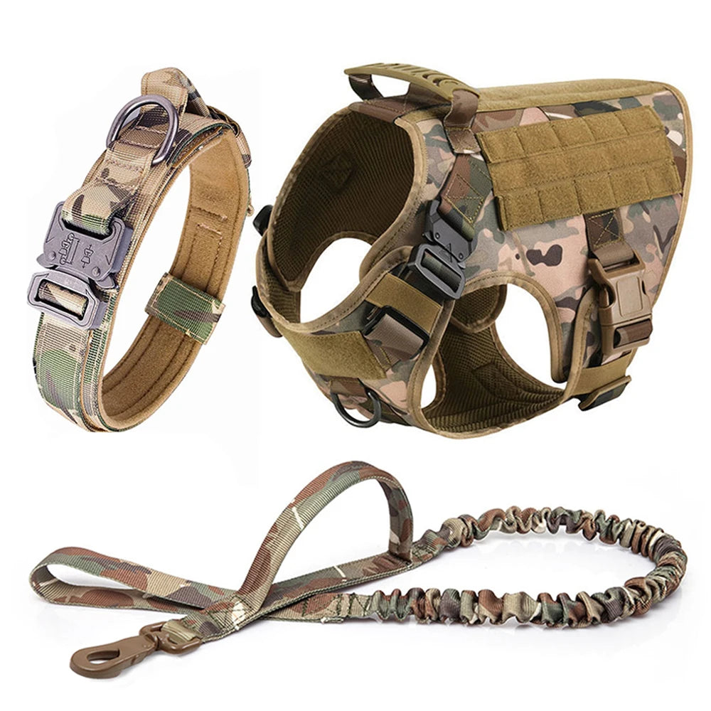 Dog Harness and Leash Sets, Training Walking