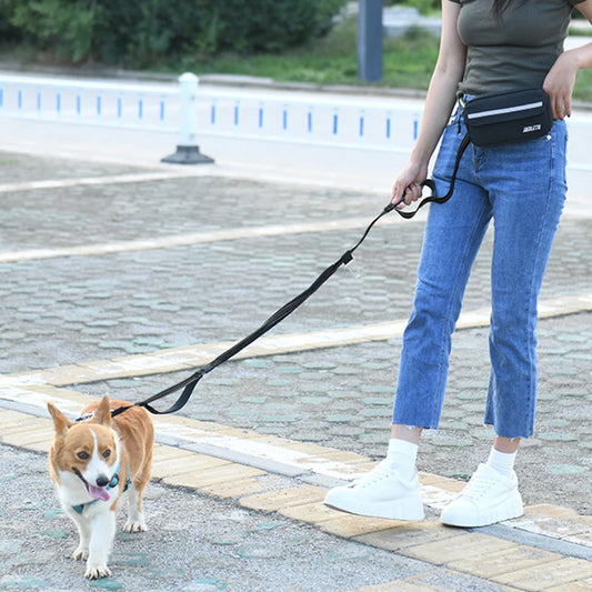 Waist Dog Running/Walking/Training Leash with Waist Bag