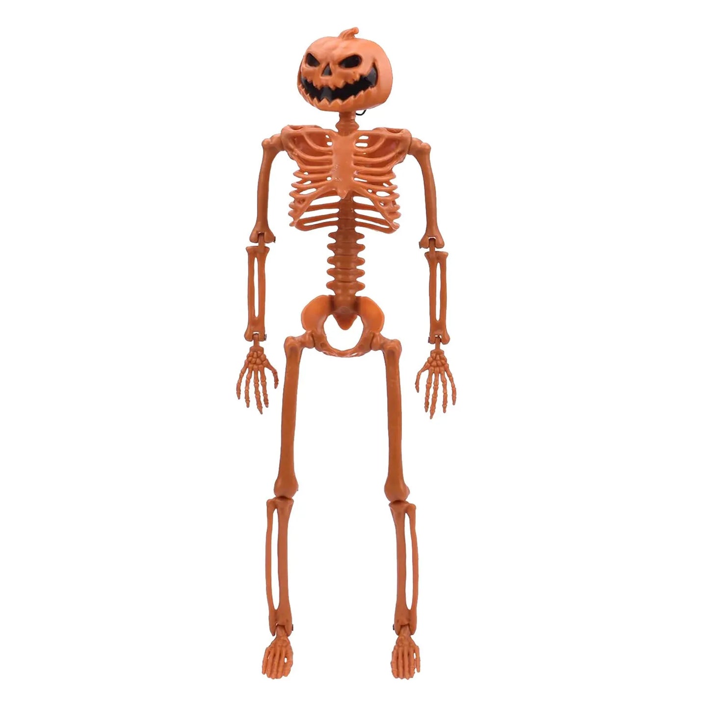 Halloween Poseable Human Skeleton