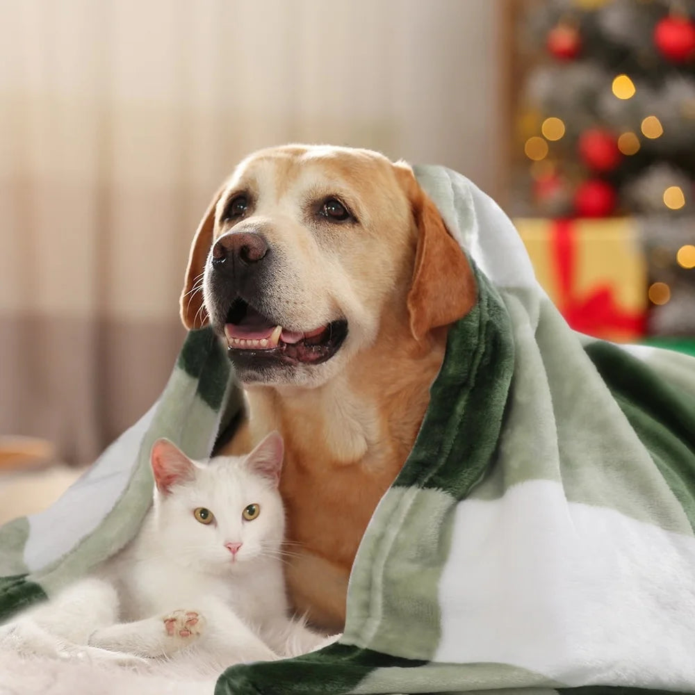 Plush Reversible Plaid Flannel Fleece Throw Blanket