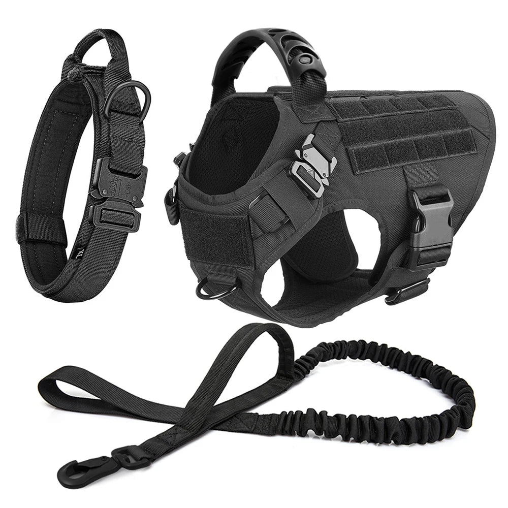 Dog Harness and Leash Sets, Training Walking