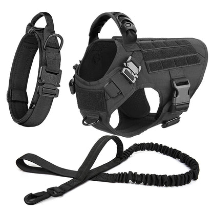 Dog Harness and Leash Sets, Training Walking