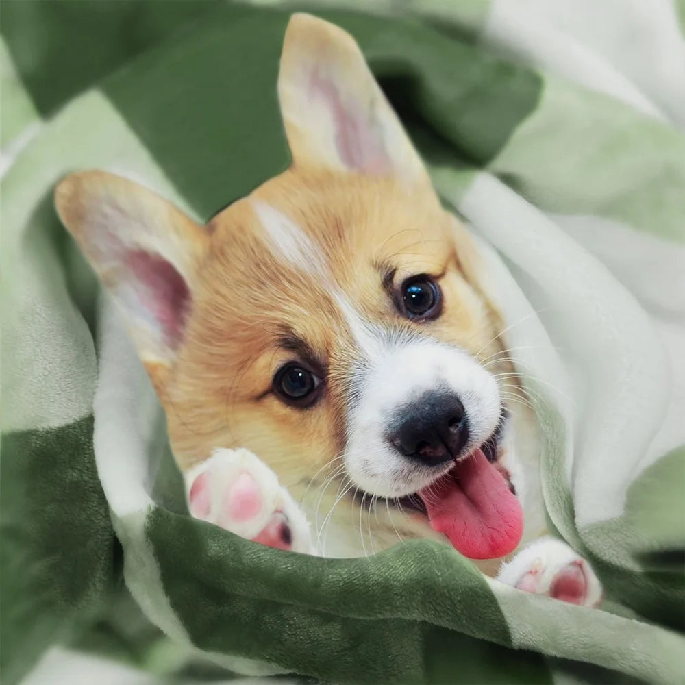 Plush Reversible Plaid Flannel Fleece Throw Blanket