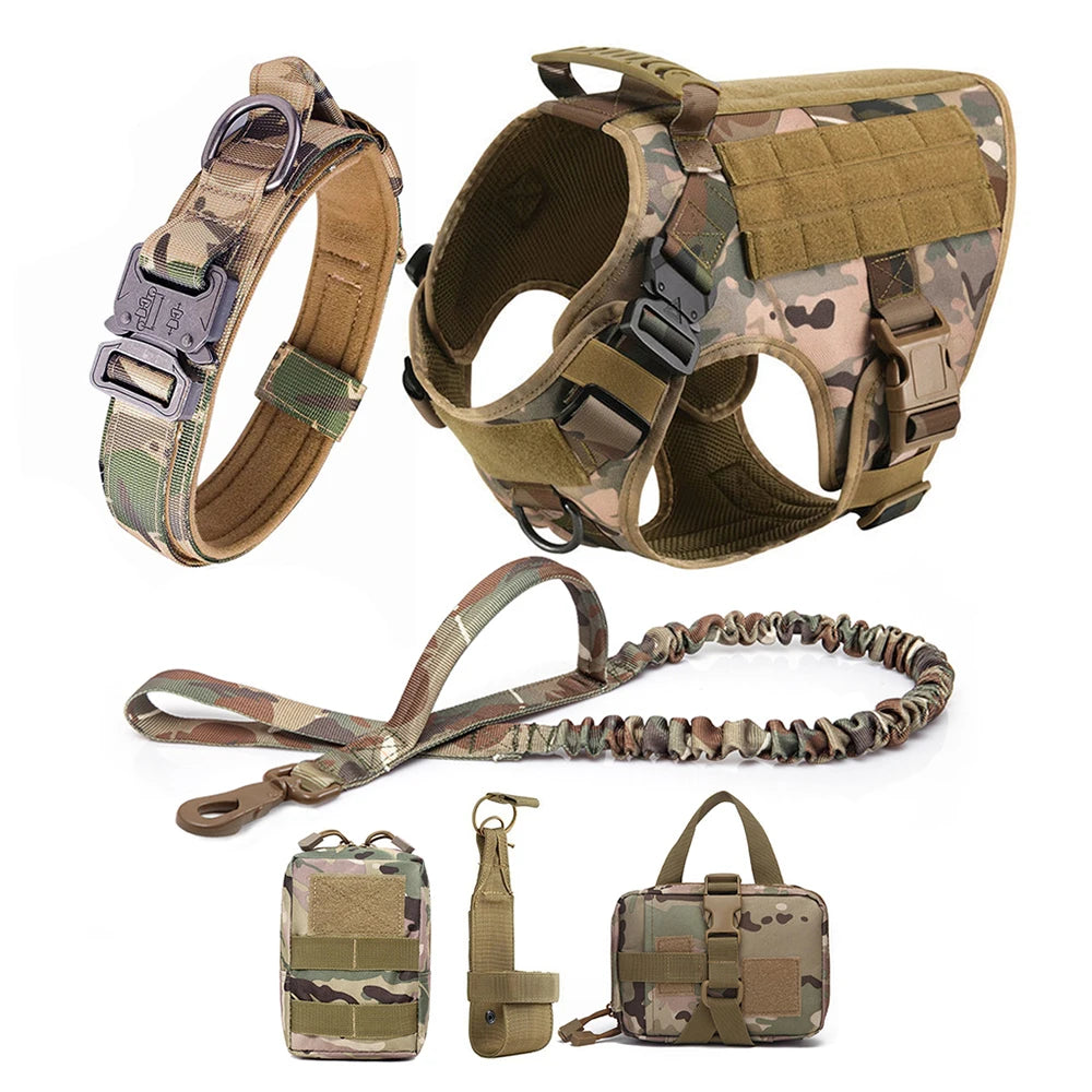 Dog Harness and Leash Sets, Training Walking