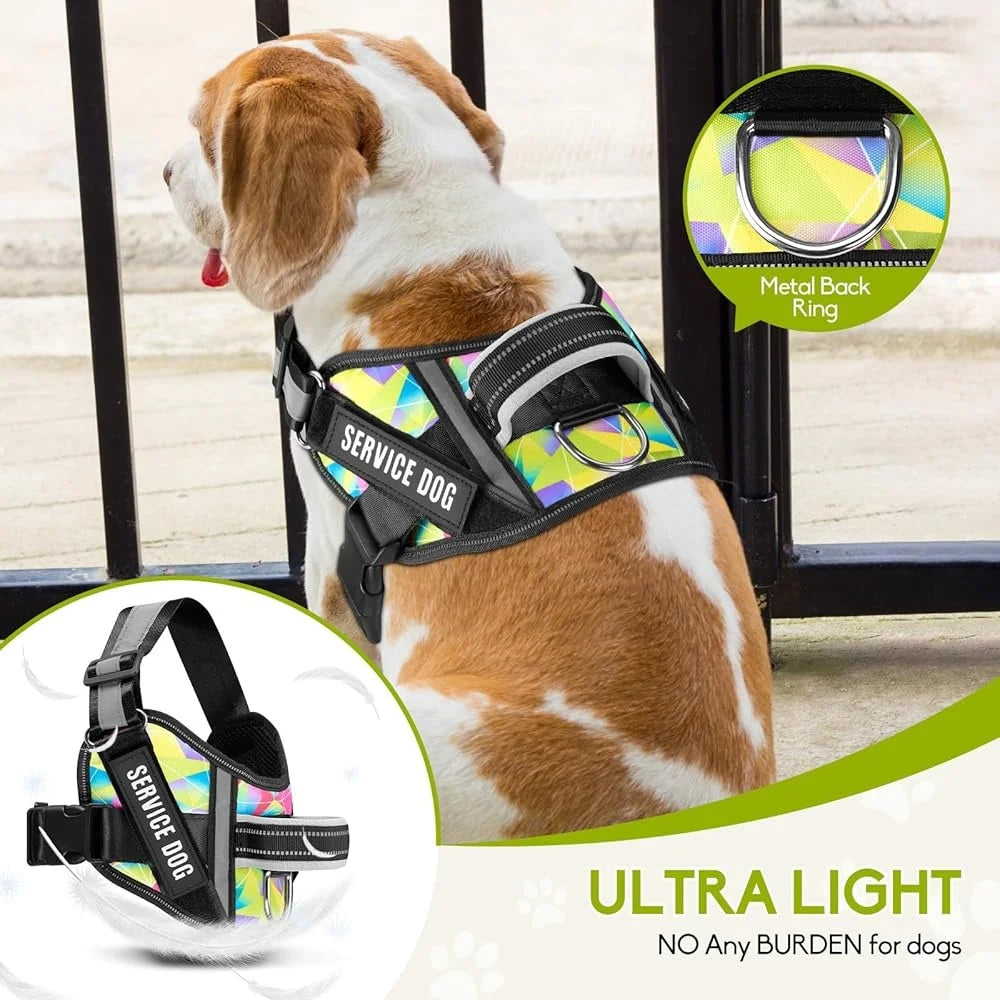 Training Dog Harness & Leash, Reflective - Small to XL Dogs