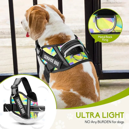 Training Dog Harness & Leash, Reflective - Small to XL Dogs