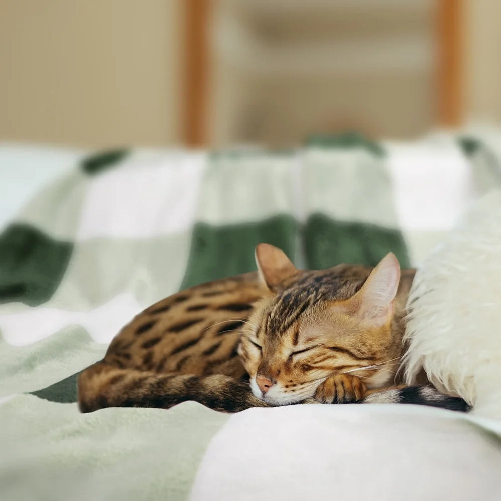 Plush Reversible Plaid Flannel Fleece Throw Blanket