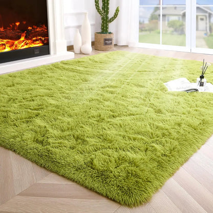 Fluffy Area Rugs for Living Room, Bedroom, Kids Room