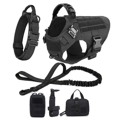 Dog Harness and Leash Sets, Training Walking