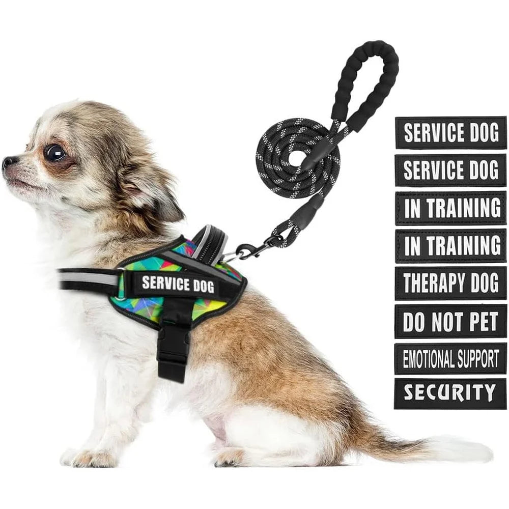 Training Dog Harness & Leash, Reflective - Small to XL Dogs