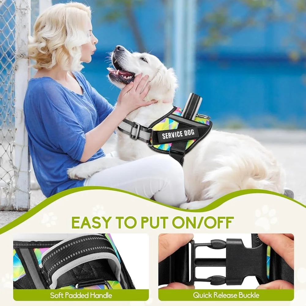 Training Dog Harness & Leash, Reflective - Small to XL Dogs