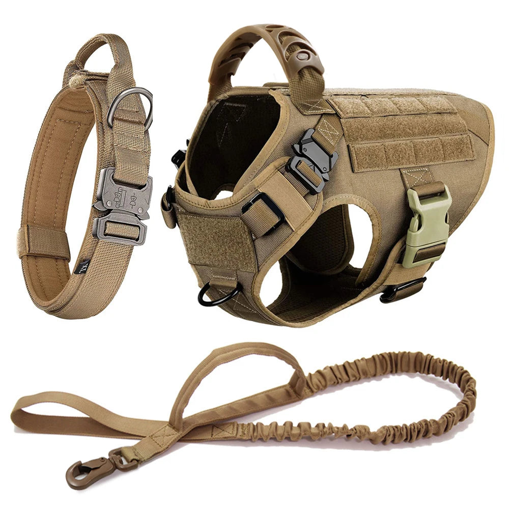 Dog Harness and Leash Sets, Training Walking