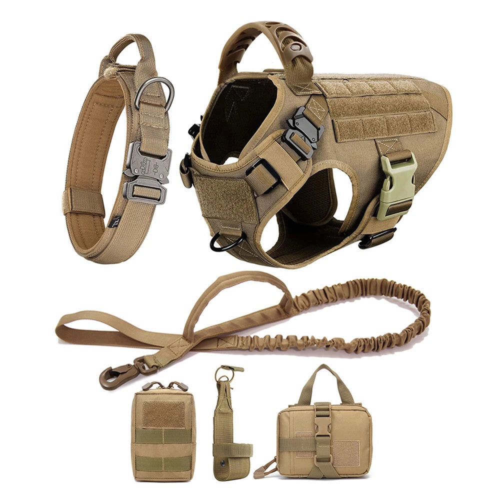 Dog Harness and Leash Sets, Training Walking