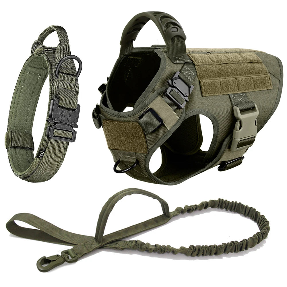 Dog Harness and Leash Sets, Training Walking