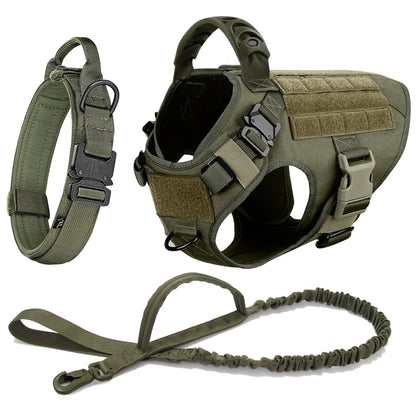 Dog Harness and Leash Sets, Training Walking